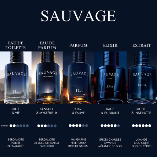 Dior Sauvage Elixir - Perfume 3348901567572 Dior Sauvage Elixir - Perfume 3348901567572